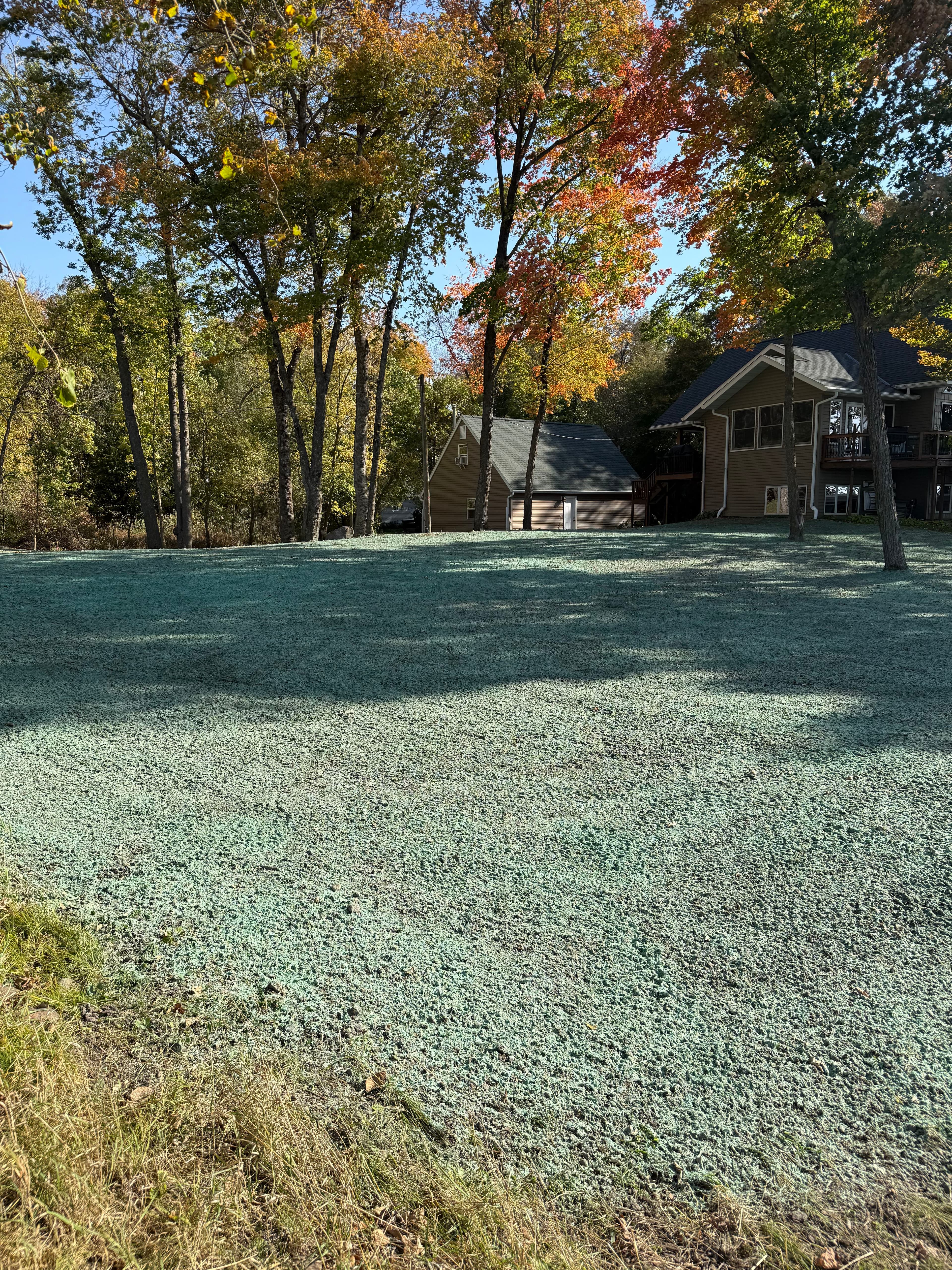 Hydroseeding image